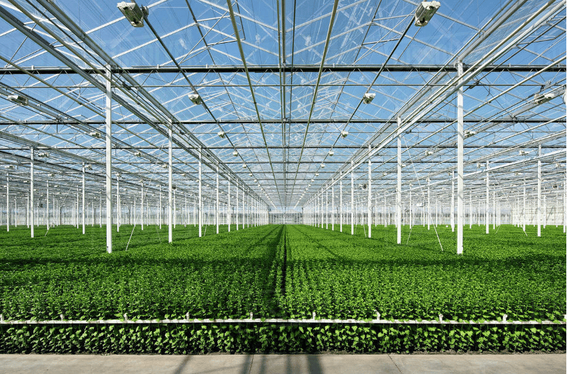 An example of finished industrial greenhouse