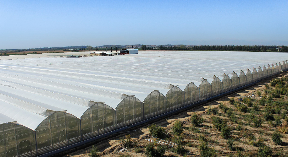 An Example of Greenhouse Types